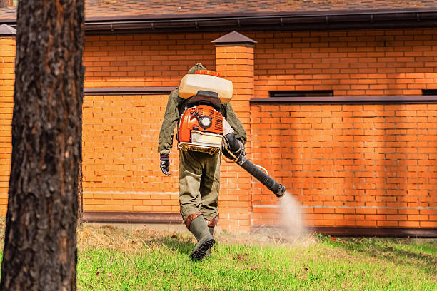 Trusted Cockroach Control service in Ridley Park, PA - Nex Pest Control